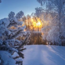 Солнечный день зимой (39 фото)