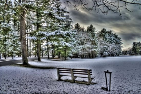 Зима парк (48 фото)