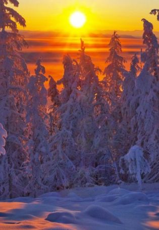 Природа Якутии зимой (63 фото)