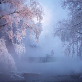 Зимний туман (28 фото)