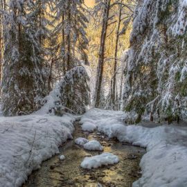 Зимний ручей (40 фото)