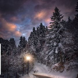 Зима ночь дорога (50 фото)