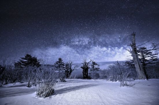 Зимнее ночное небо (29 фото)
