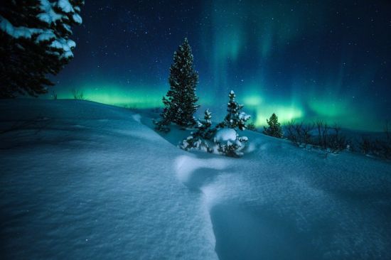 Северное сияние зимой (31 фото)