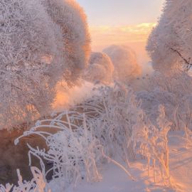 Зима иней (40 фото)