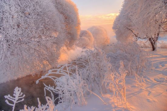 Зима иней (40 фото)