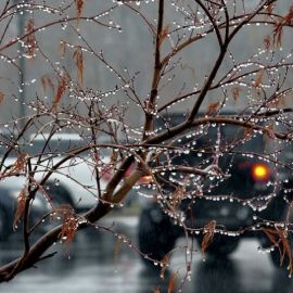 Зимний дождь (57 фото)
