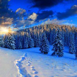 Красивые зимние новогодние пейзажи (67 фото)