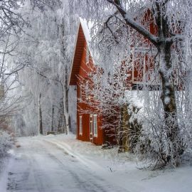 Зимний двор (34 фото)