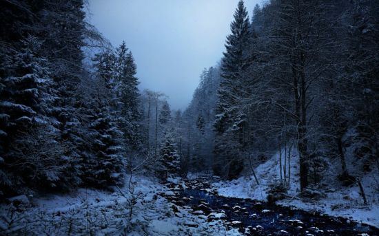 Темная зима (43 фото)