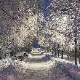 Зимняя аллея (59 фото)
