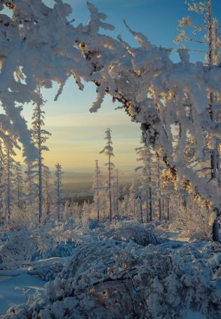 Якутия зимой (26 фото)