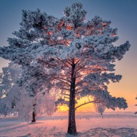 Зимний пейзаж легкий (62 фото)