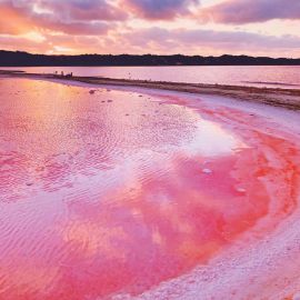 Розовое озеро (49 фото)