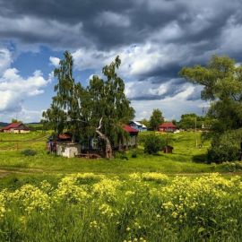 Русская деревня летом (56 фото)