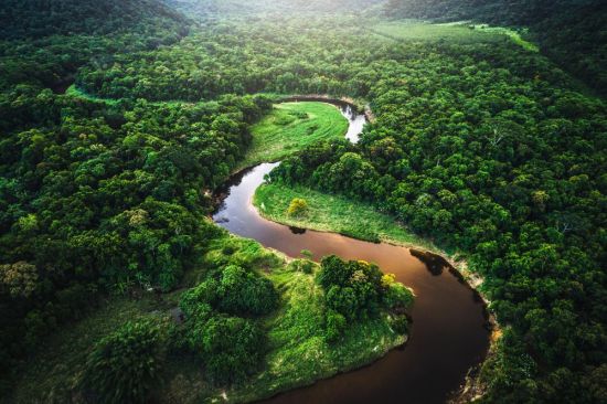 Река Амазонка (69 фото)
