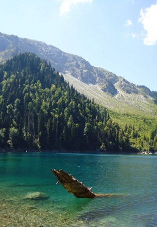 Озеро малая Рица Абхазия (26 фото)