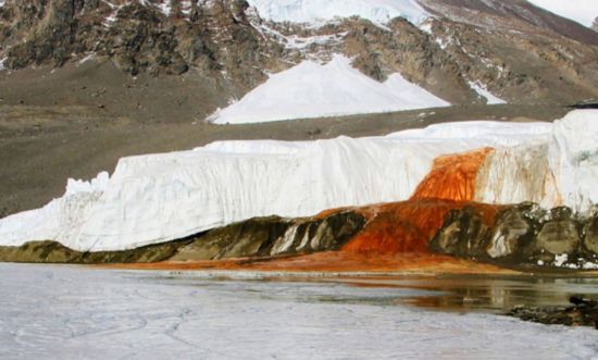 Кровавый водопад в Антарктиде (29 фото)