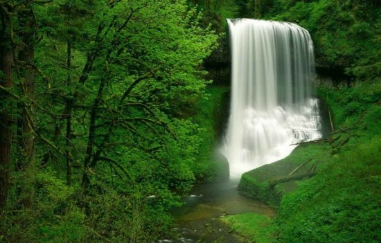 Зеленый водопад (44 фото)