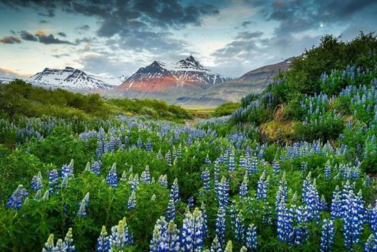 Исландия пейзажи (38 фото)