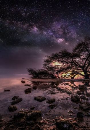 Звездное небо ночью (69 фото)