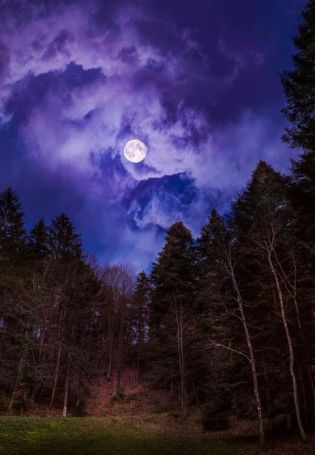 Луна на небе (47 фото)