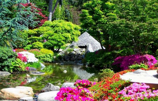 Японский сад камней (36 фото)