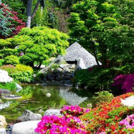 Сад камней в Японии (59 фото)