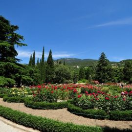 Ботанический сад Ялта (45 фото)