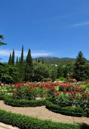 Ялта Никитский Ботанический сад (68 фото)