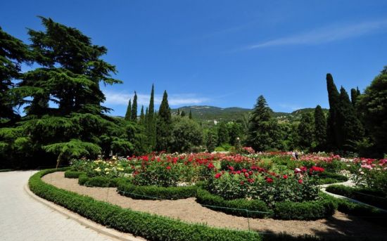 Ялта Никитский Ботанический сад (68 фото)