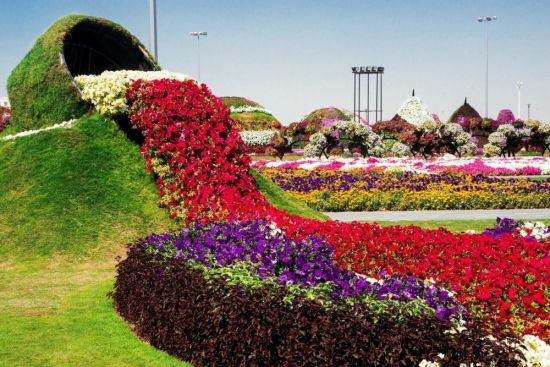 Сад чудес в Дубае (46 фото)