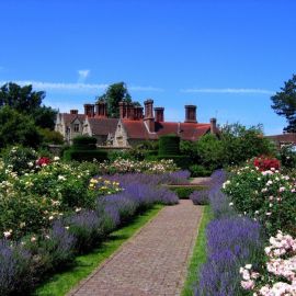 Английские сады в усадьбах (38 фото)