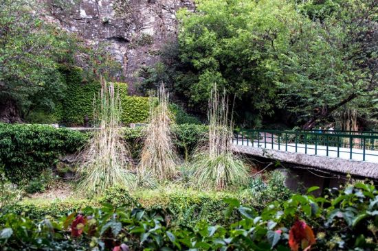 Ботанический сад Тбилиси (47 фото)