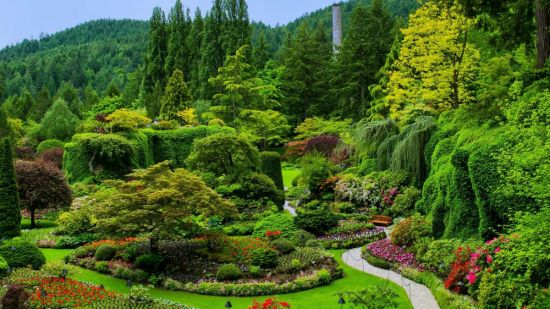 Самые красивые сады мира (40 фото)