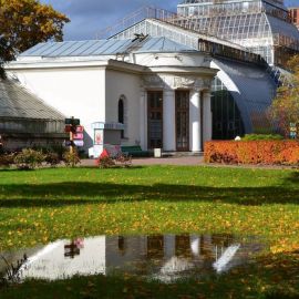 Ботанический сад Петра Великого (37 фото)