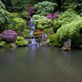 Японские сады и парки (38 фото)