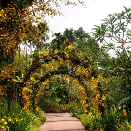 Вход в Ботанический сад (37 фото)