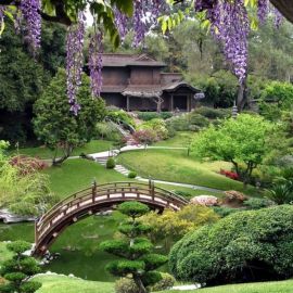 Сад в японском стиле (24 фото)