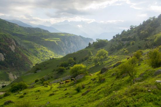 Северная Осетия Фиагдонское ущелье (66 фото)