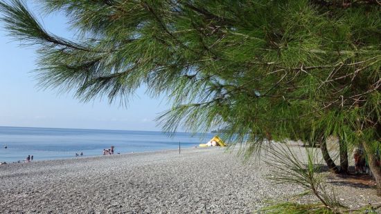 Пицунда песчаный пляж (57 фото)