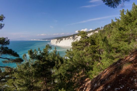 Сосновый пляж Геленджик (45 фото)