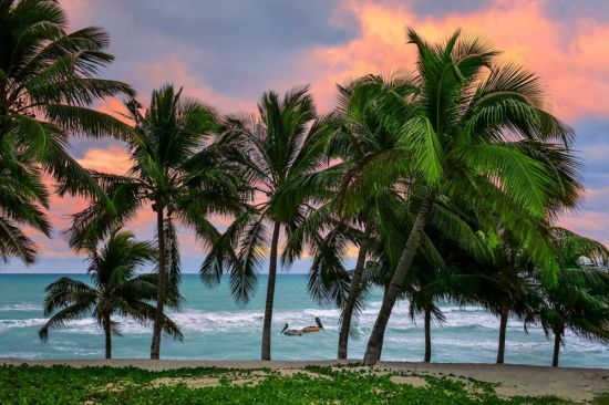 Пляж на Кубе (38 фото)