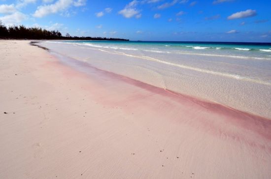 Пляж с розовым песком (70 фото)