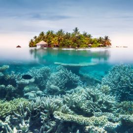 Коралловый остров (44 фото)