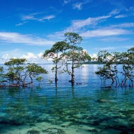 Андаманские и Никобарские острова (66 фото)
