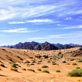 Аравийский полуостров (67 фото)