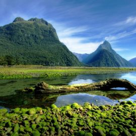 Остров Зеландия (63 фото)