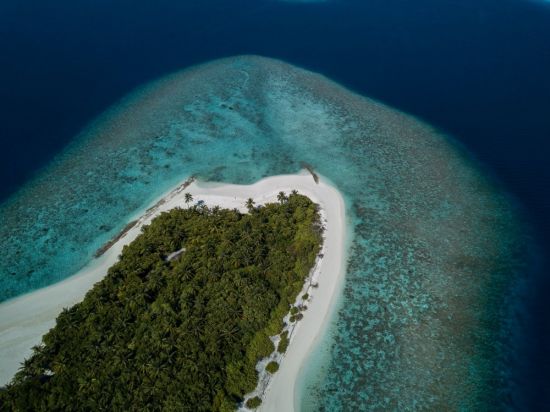 Остров Дигура Мальдивы (72 фото)