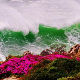 Цвет моря (39 фото)